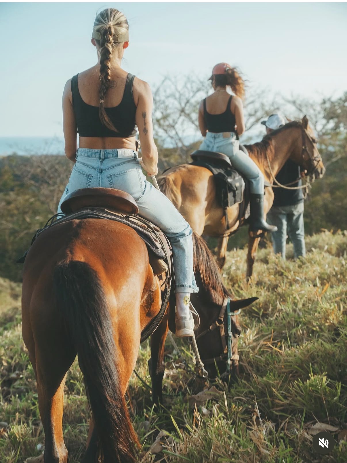 Riders on horseback following a grassy trail above the coast