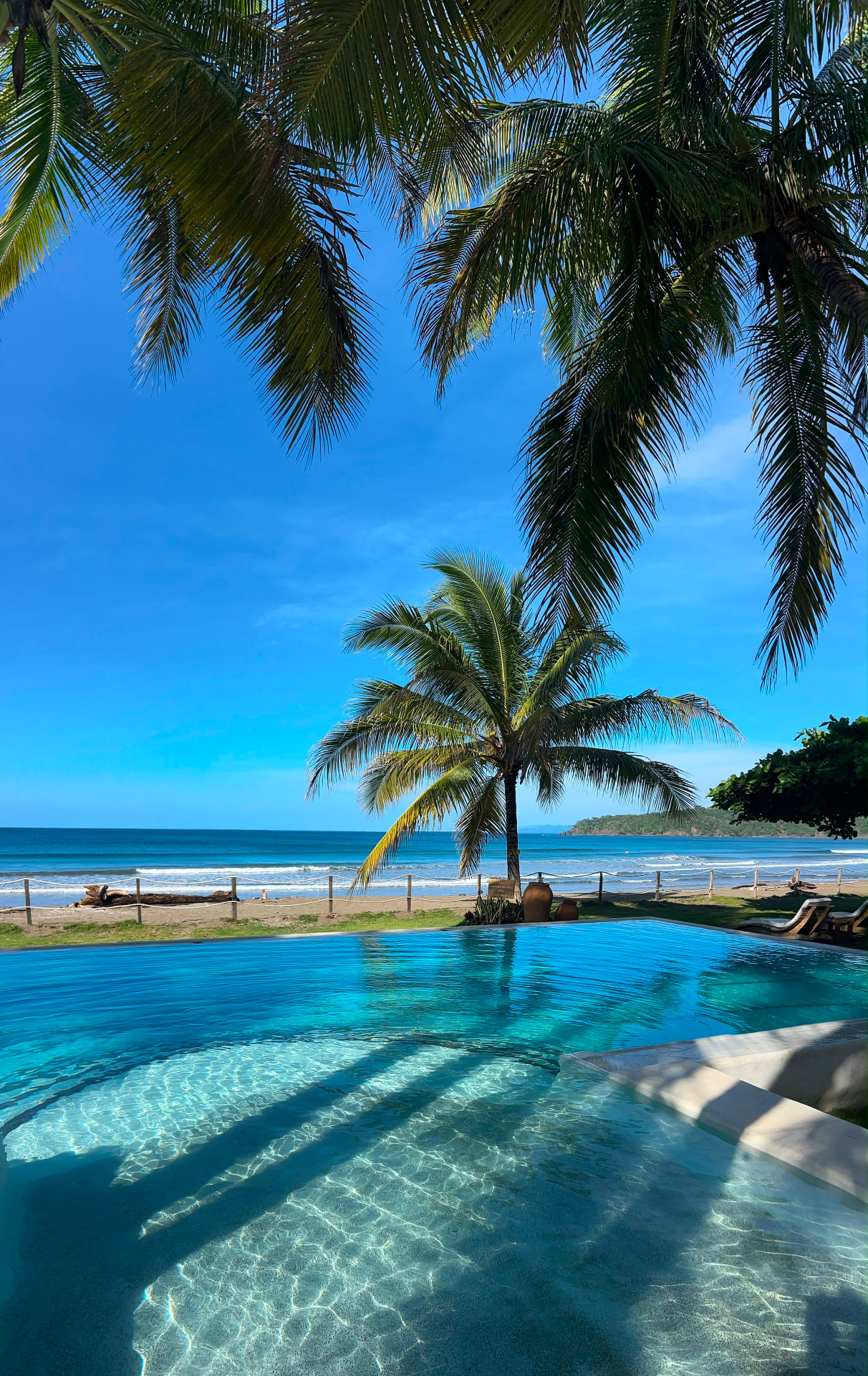 Shared pool overlooking Playa Venao beach framed by palm trees