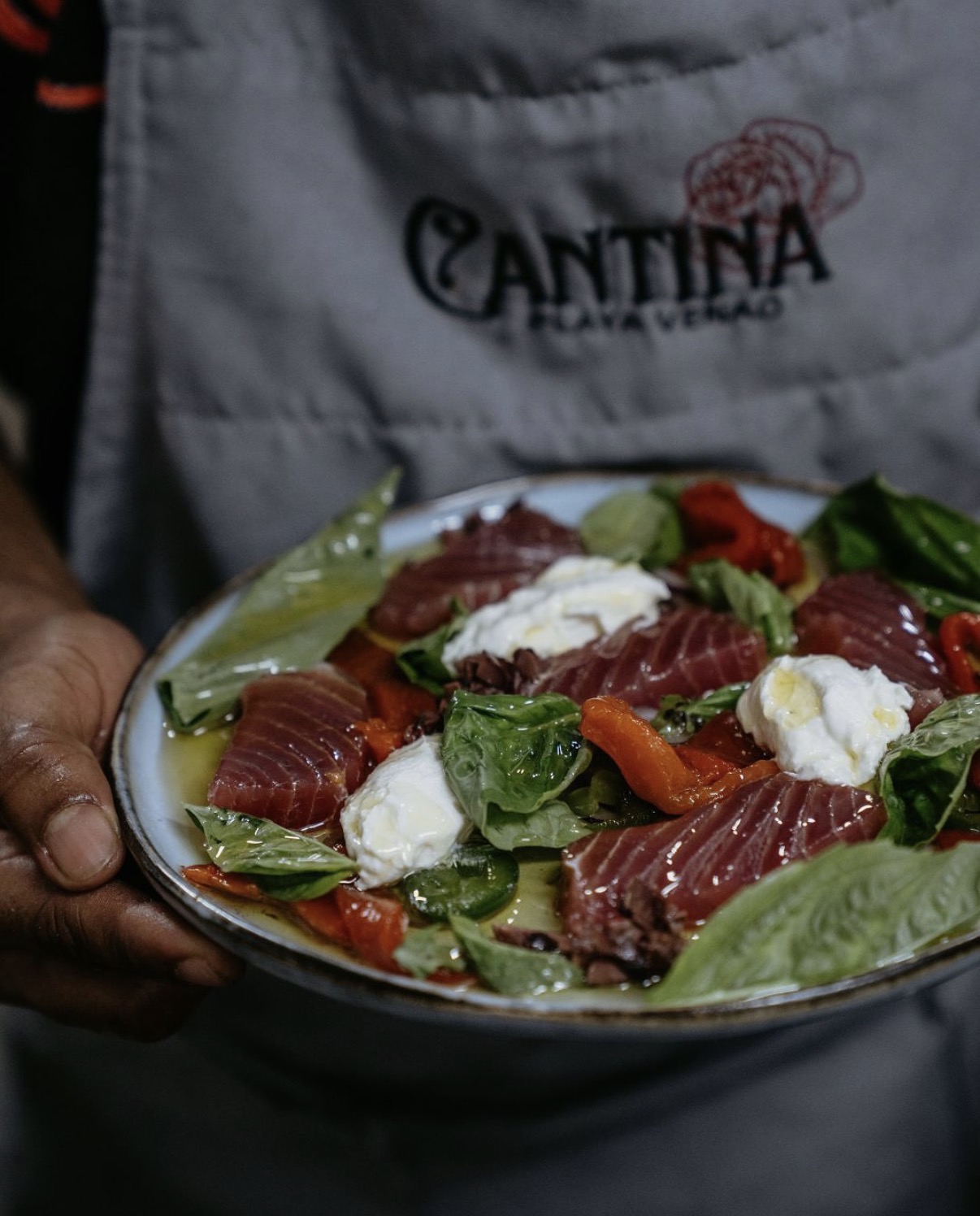A plate of tuna, burrata and basil held by a cook