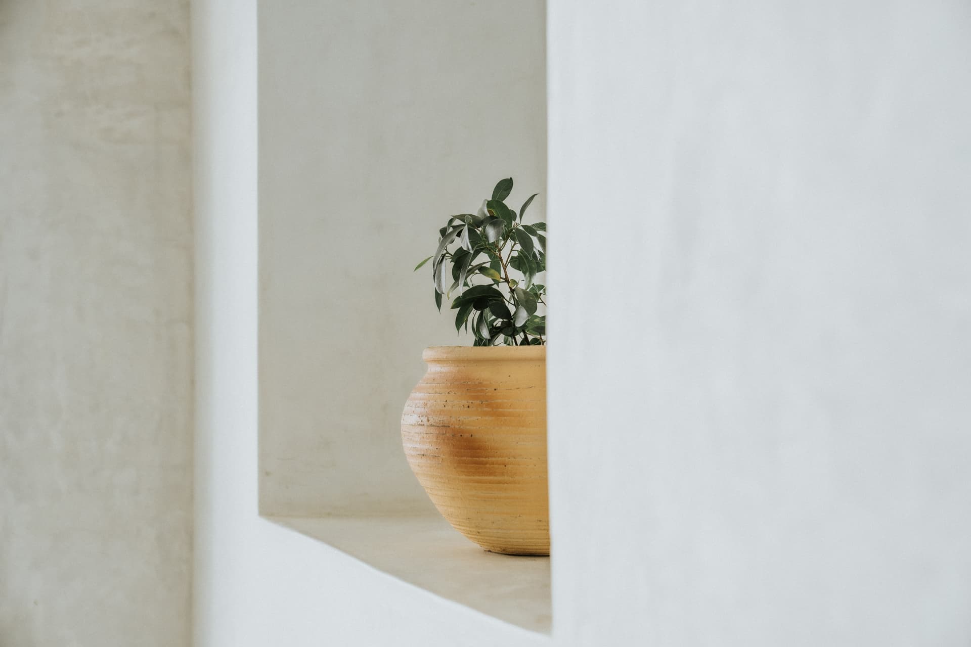 Villa Nomada — terracotta pot in a plaster wall niche