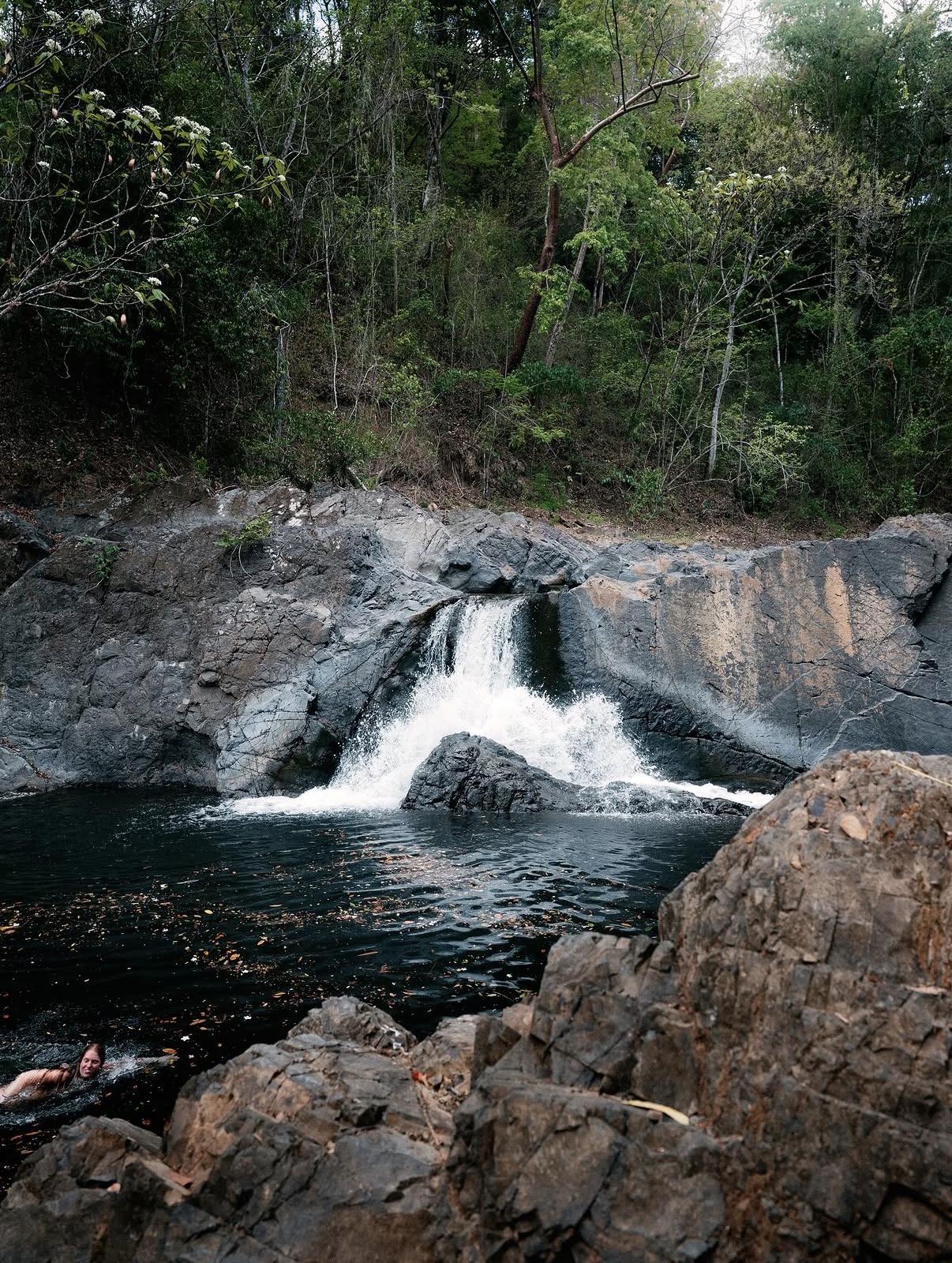 A waterfall falling into a dark swimming pool in the forest